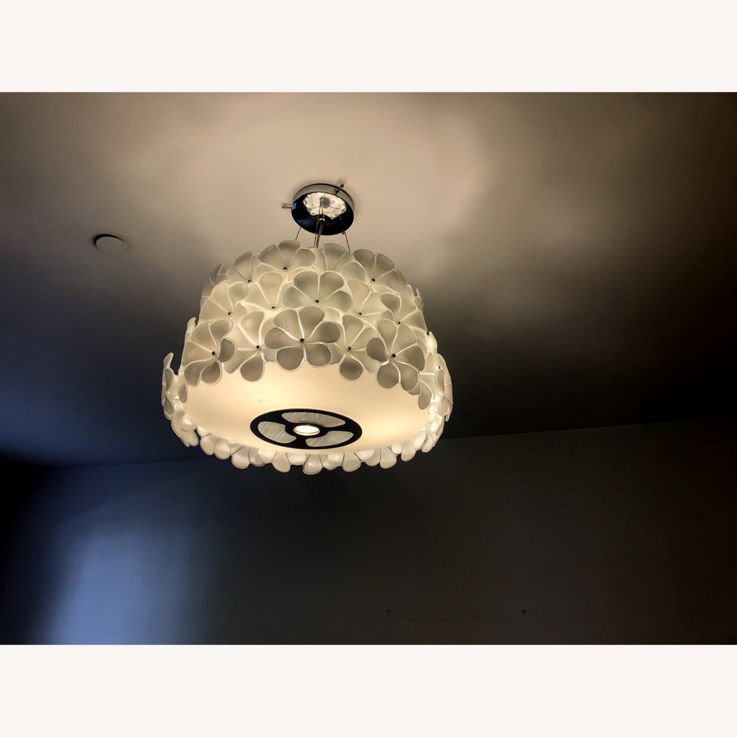 France and Son Floral Chandelier - image-5