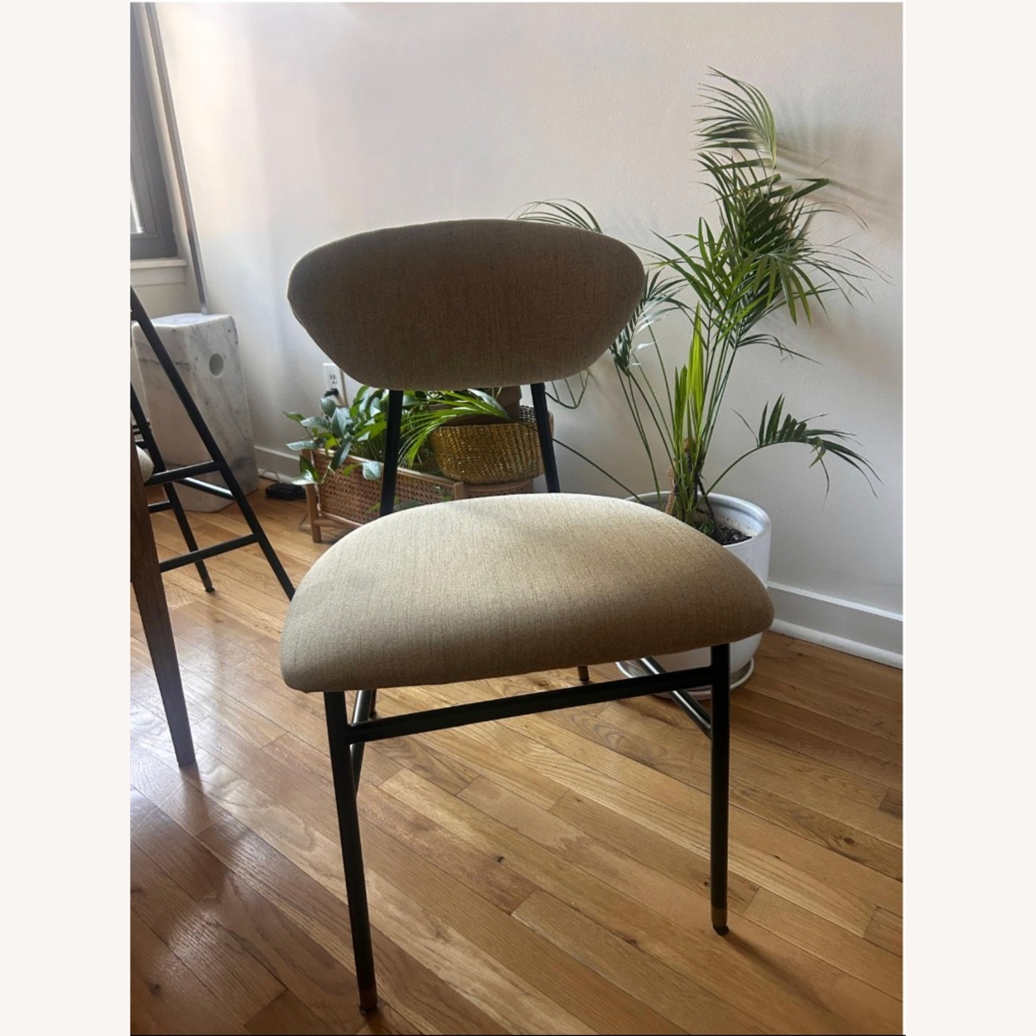 Joybird Sally Natural Dining Chairs - image-3