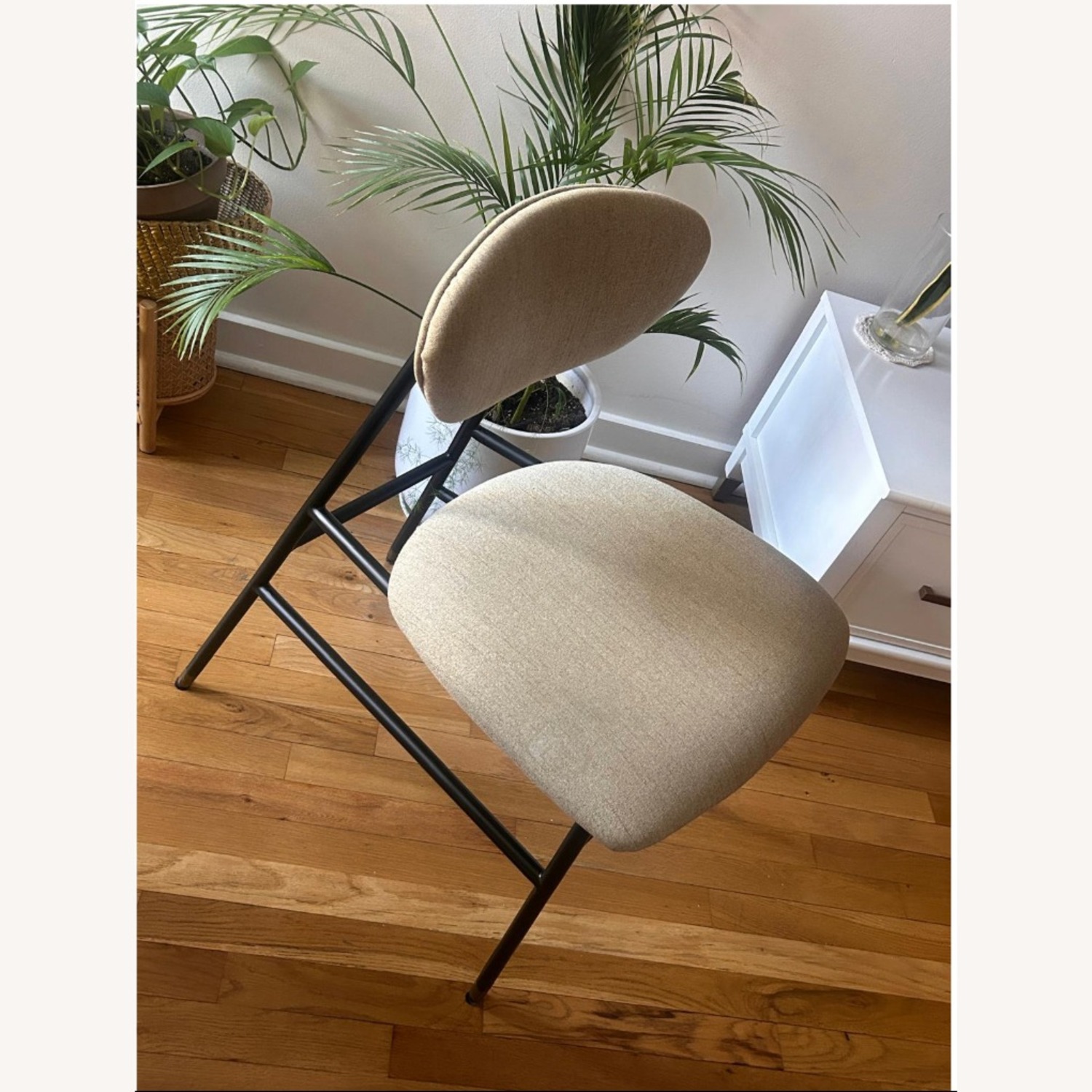 Joybird Sally Natural Dining Chairs - image-2