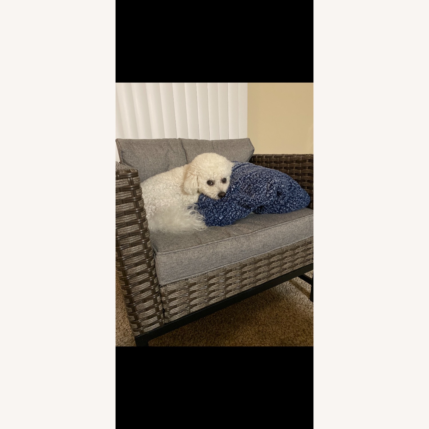 Wayfair Light Gray Wicker Patio Furniture - image-3