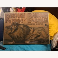 Vintage/Antique Finds Wall Art