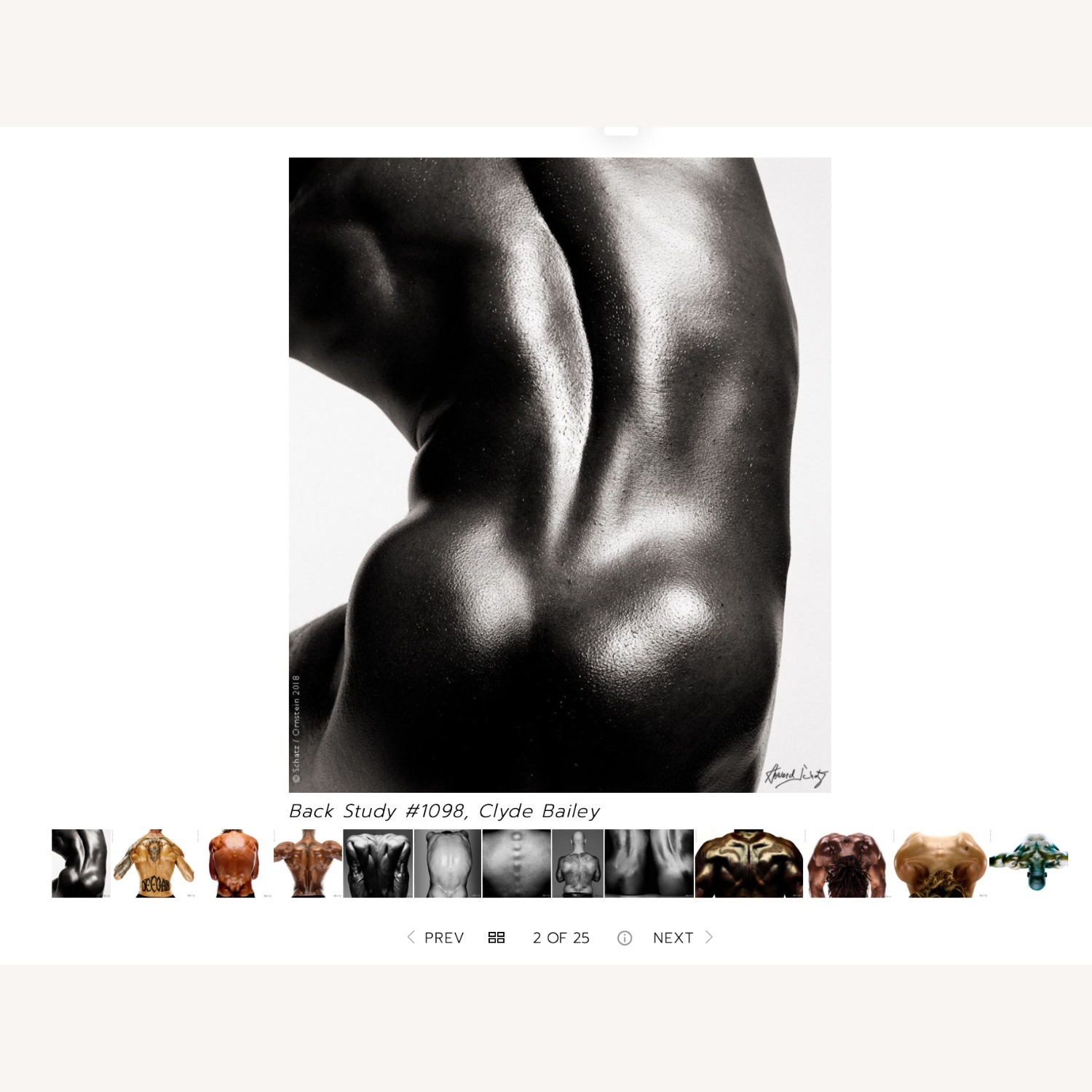 Howard Schatz "Male Back Series" - image-3