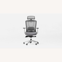 Autonomous Ergo Chair Pro Cool Gray 