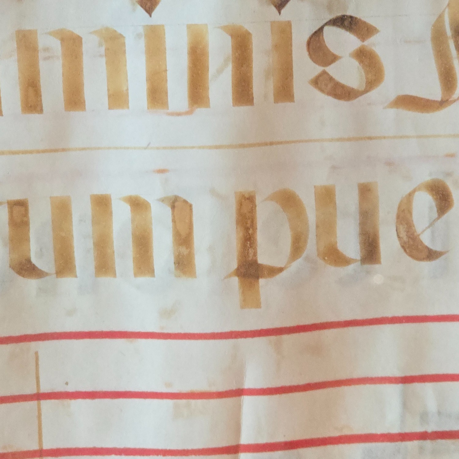 Light Brown Wall Art - image-8