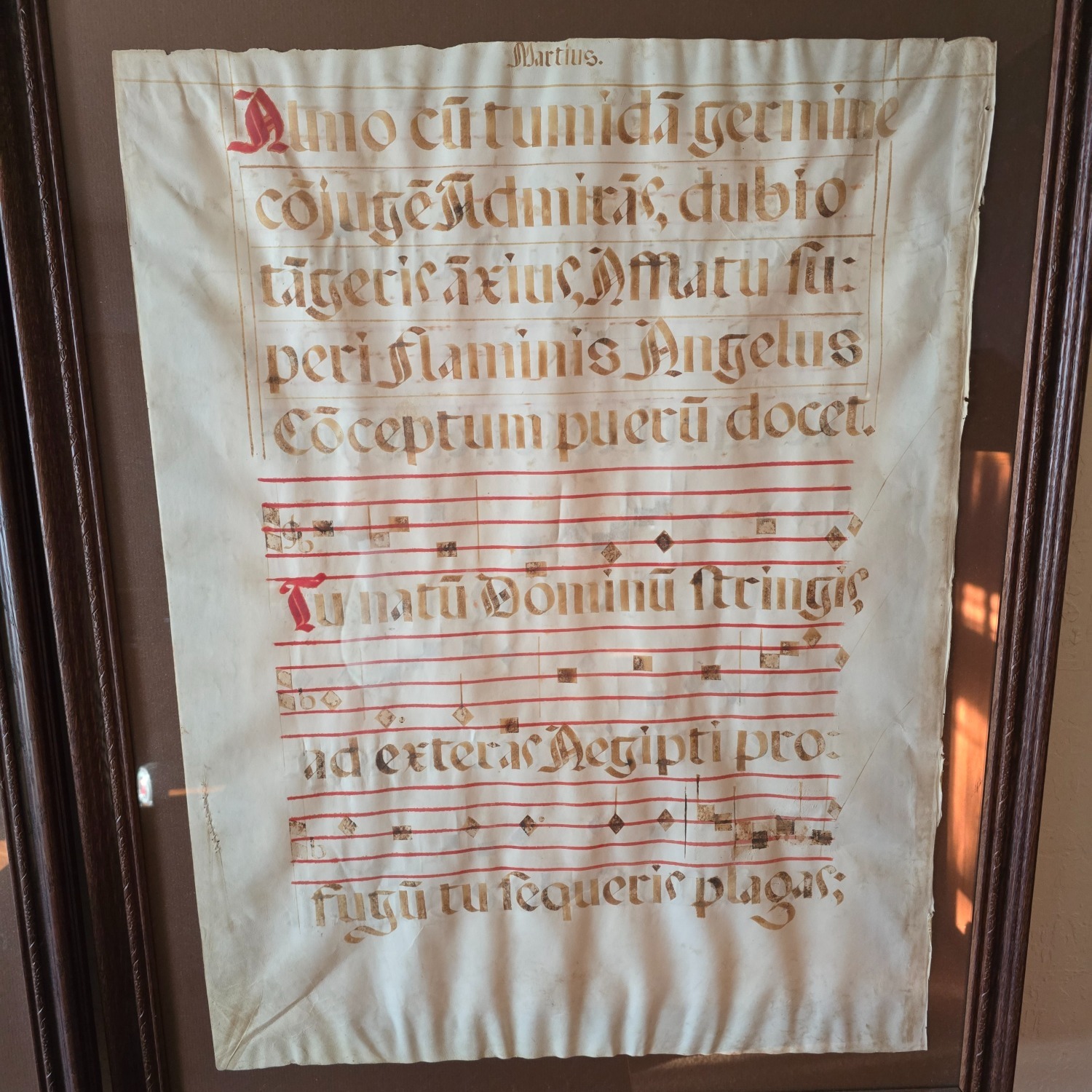 Light Brown Wall Art - image-6