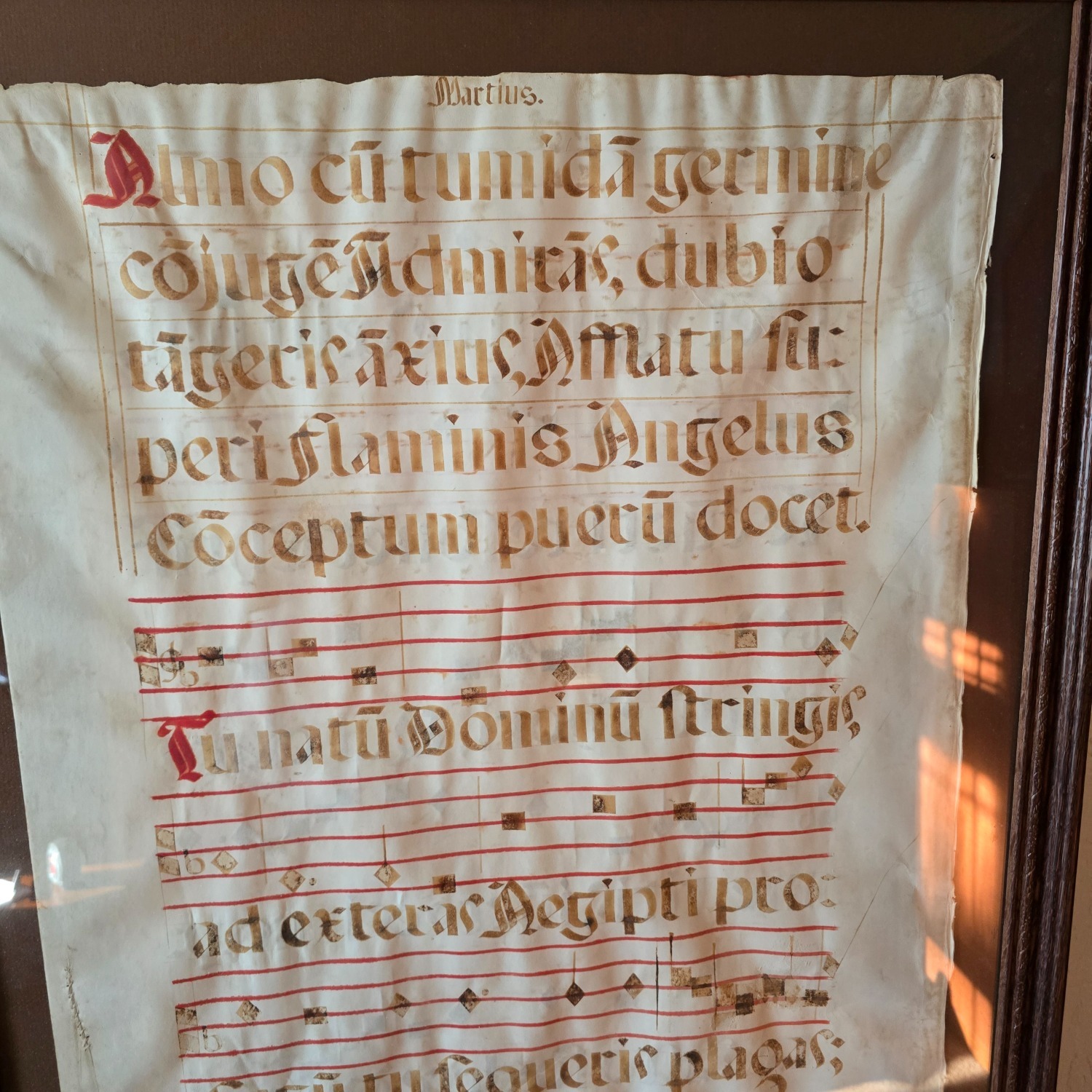 Light Brown Wall Art - image-9