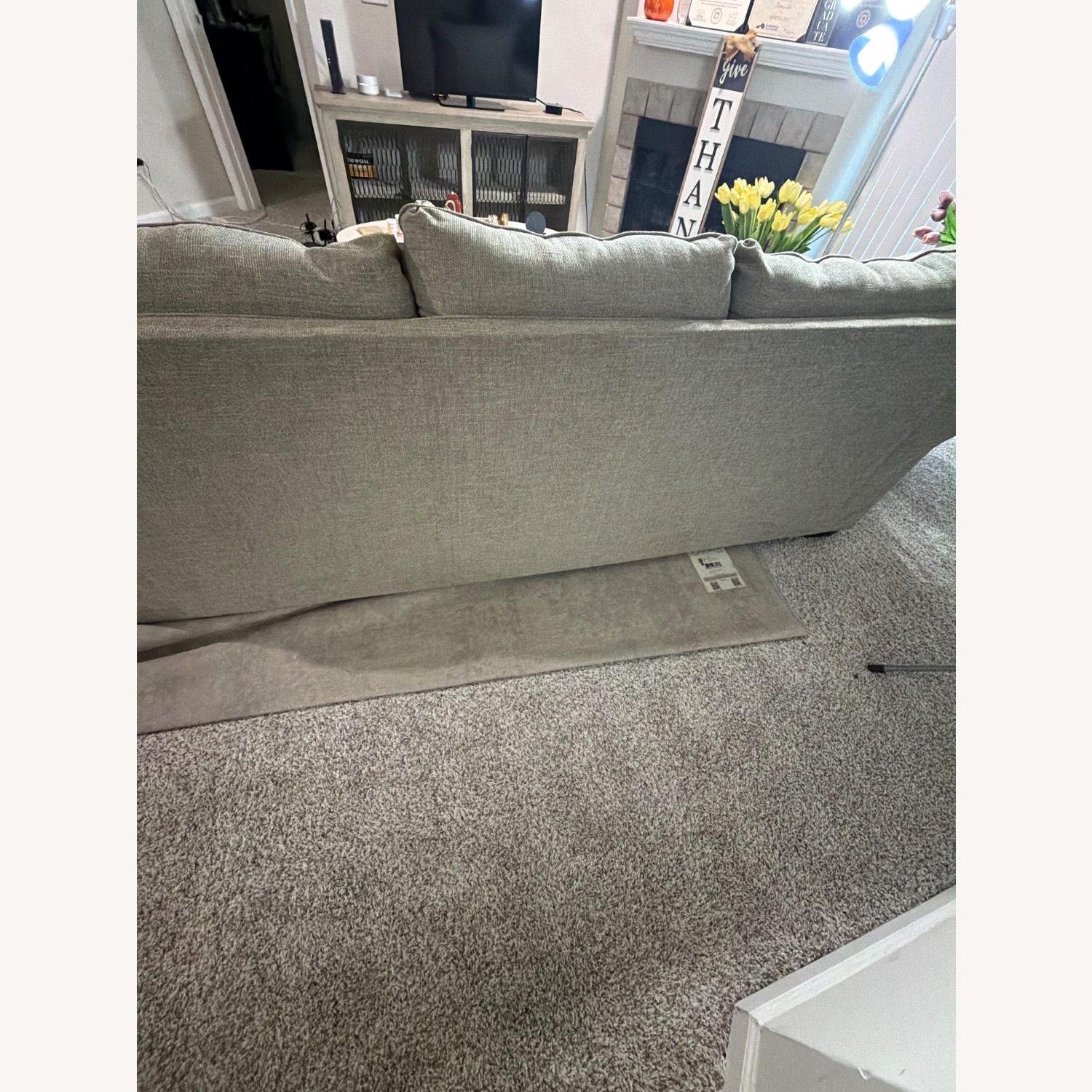 American Furniture Classics Sleeper Sofa - image-6