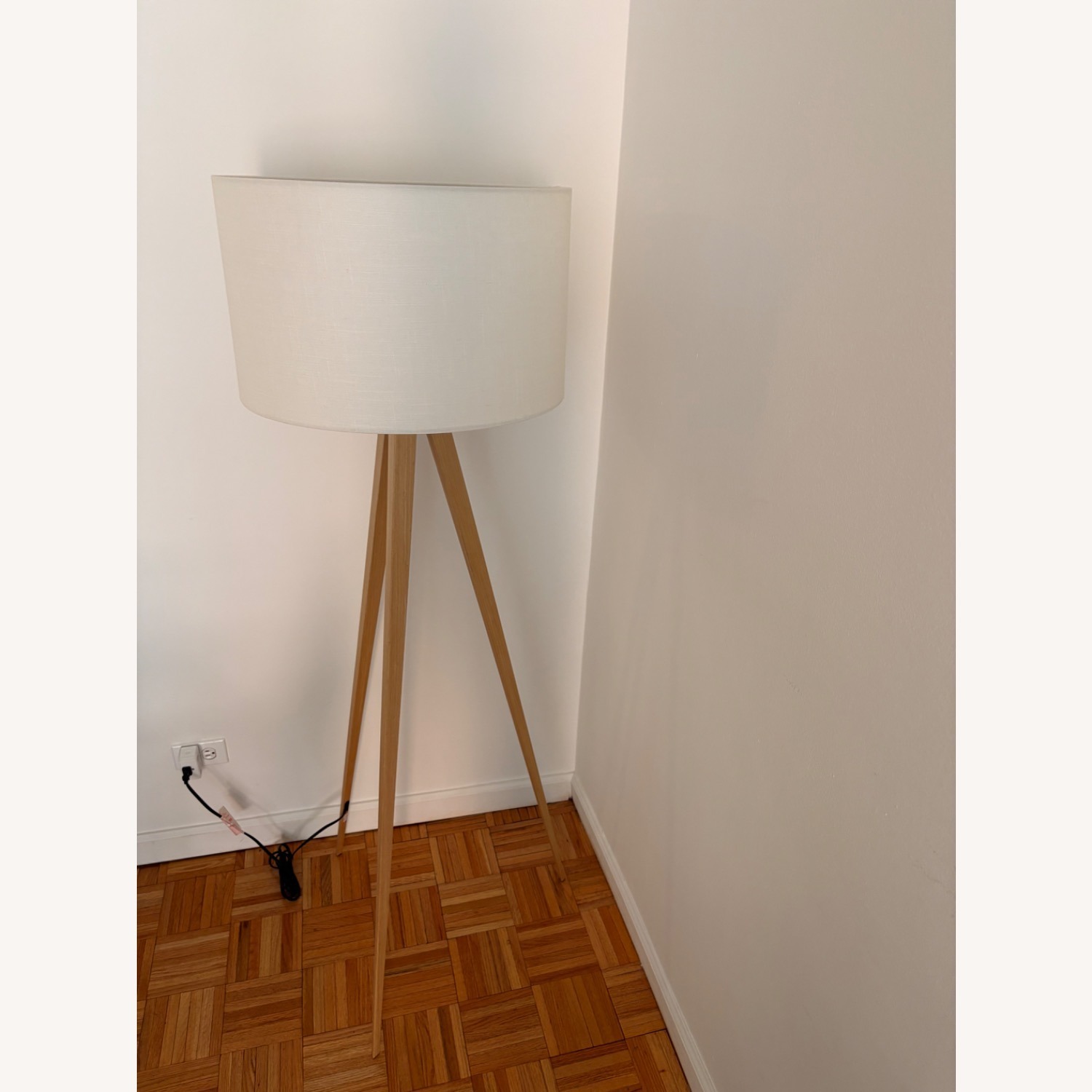 Wayfair Cas Flooring Lamp  - image-1
