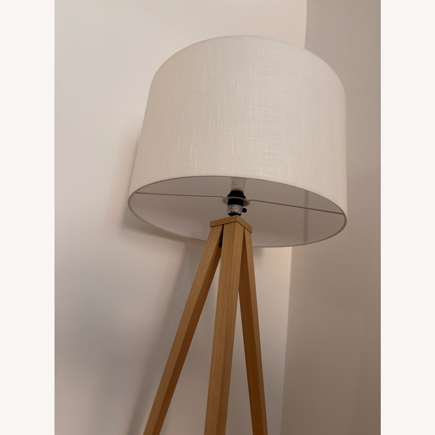 Wayfair Cas Flooring Lamp  - image-2