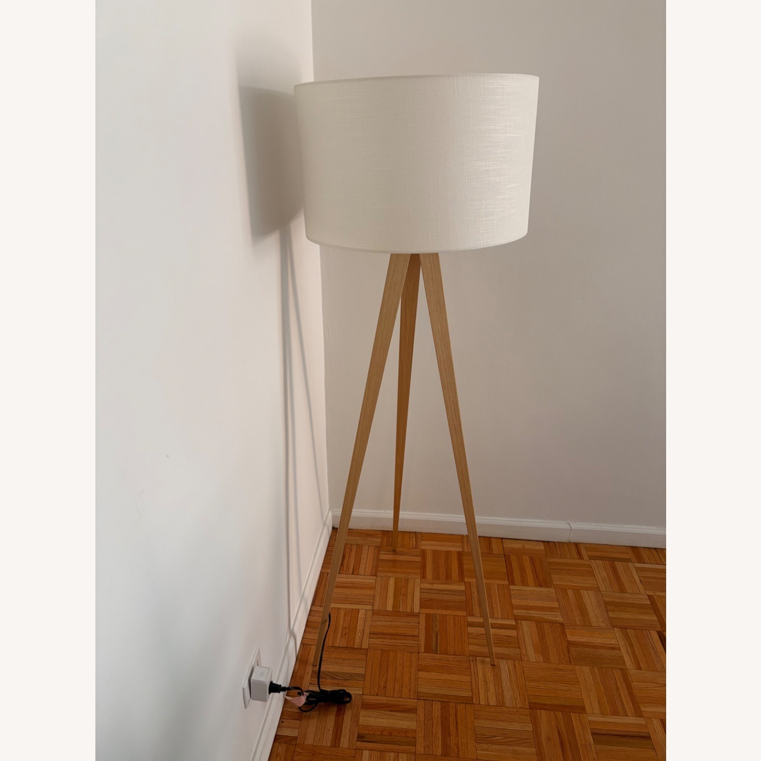 Wayfair Cas Flooring Lamp  - image-3
