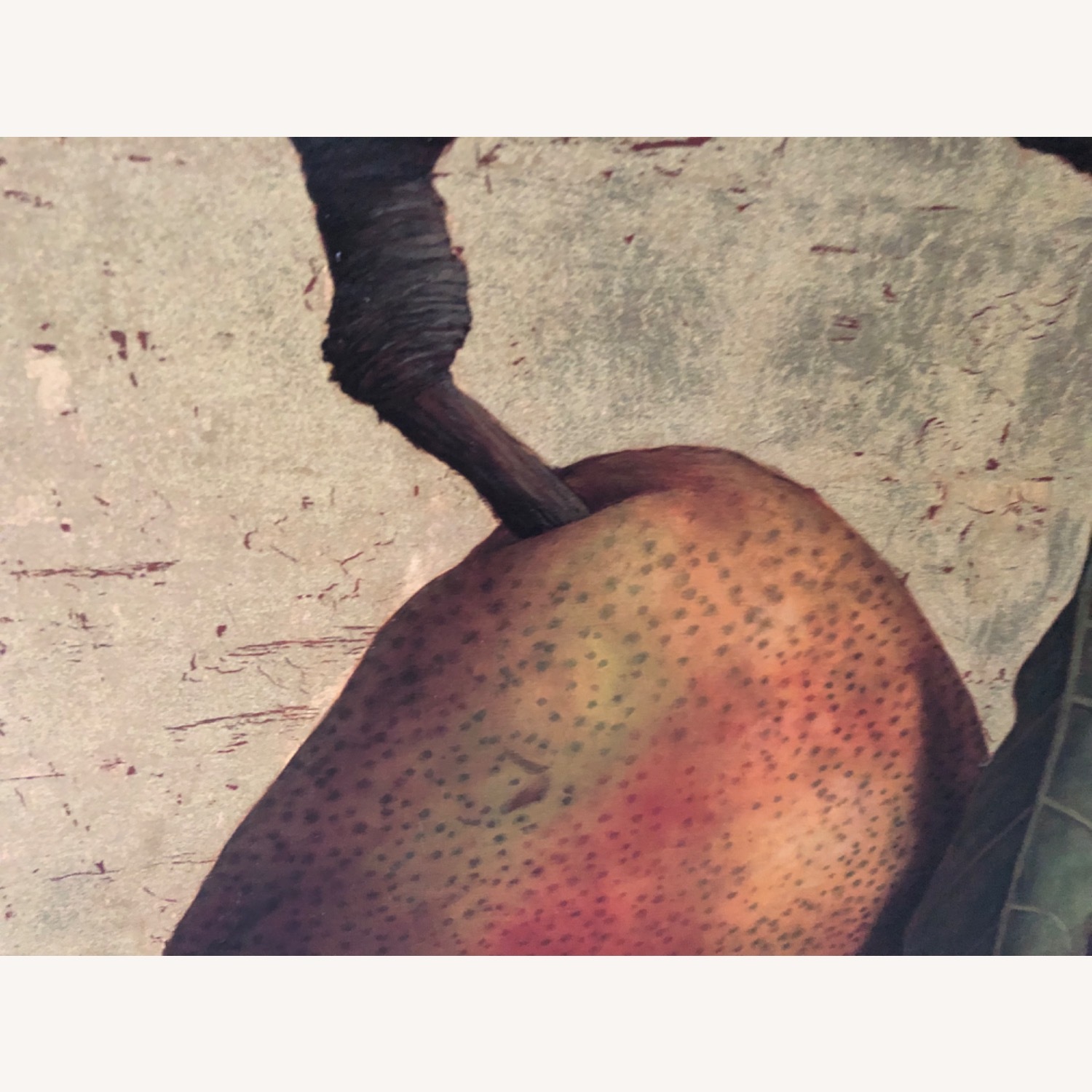 Natural Wall Art - image-4