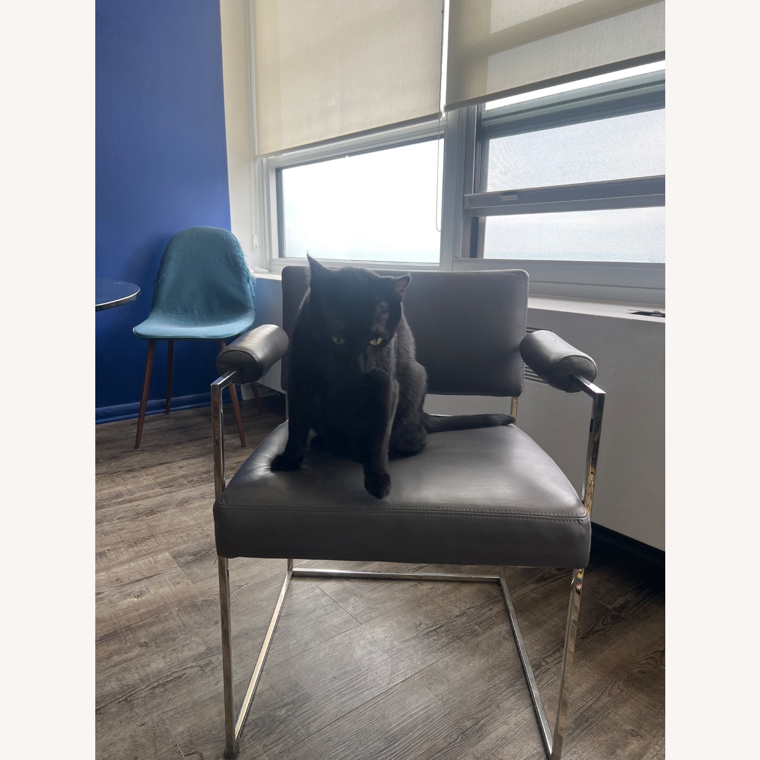 Milo Baughman Light Gray Leather Dining Chairs - image-1