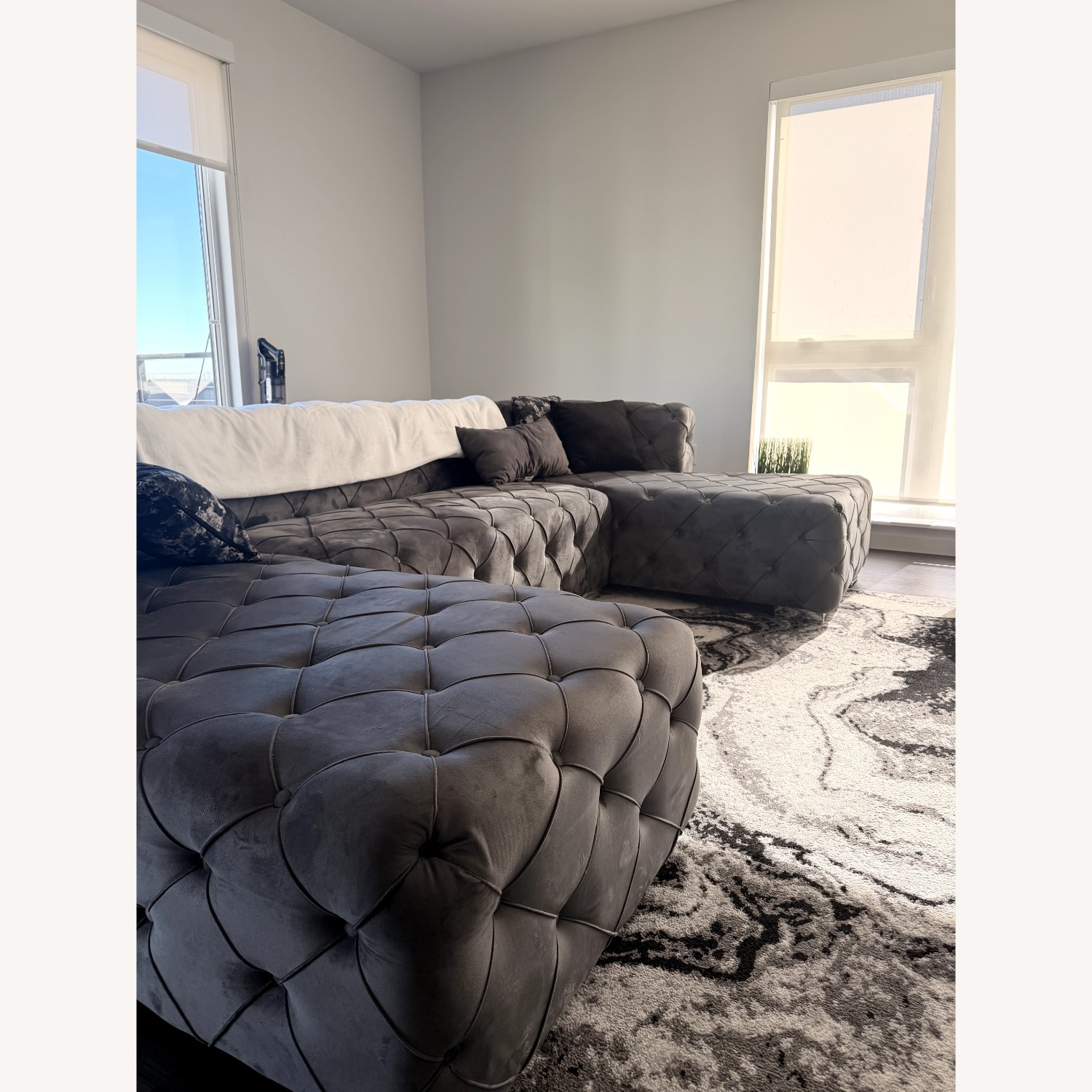 Light Gray Velvet 3+ Piece Sectional - image-4