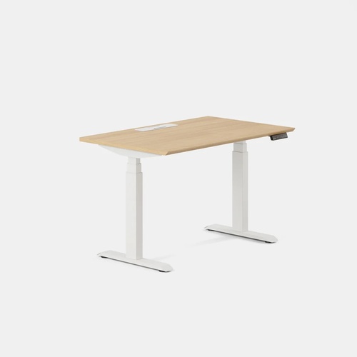 Used Branch Standing Desk With in Desk Power  for sale on AptDeco