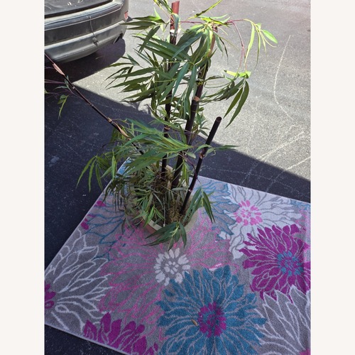 Used Yellow Bamboo Décor for sale on AptDeco