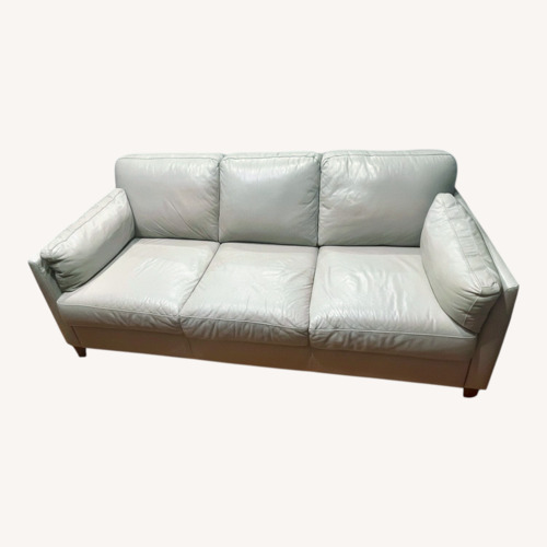 Used Light Gray Sleeper Sofa for sale on AptDeco