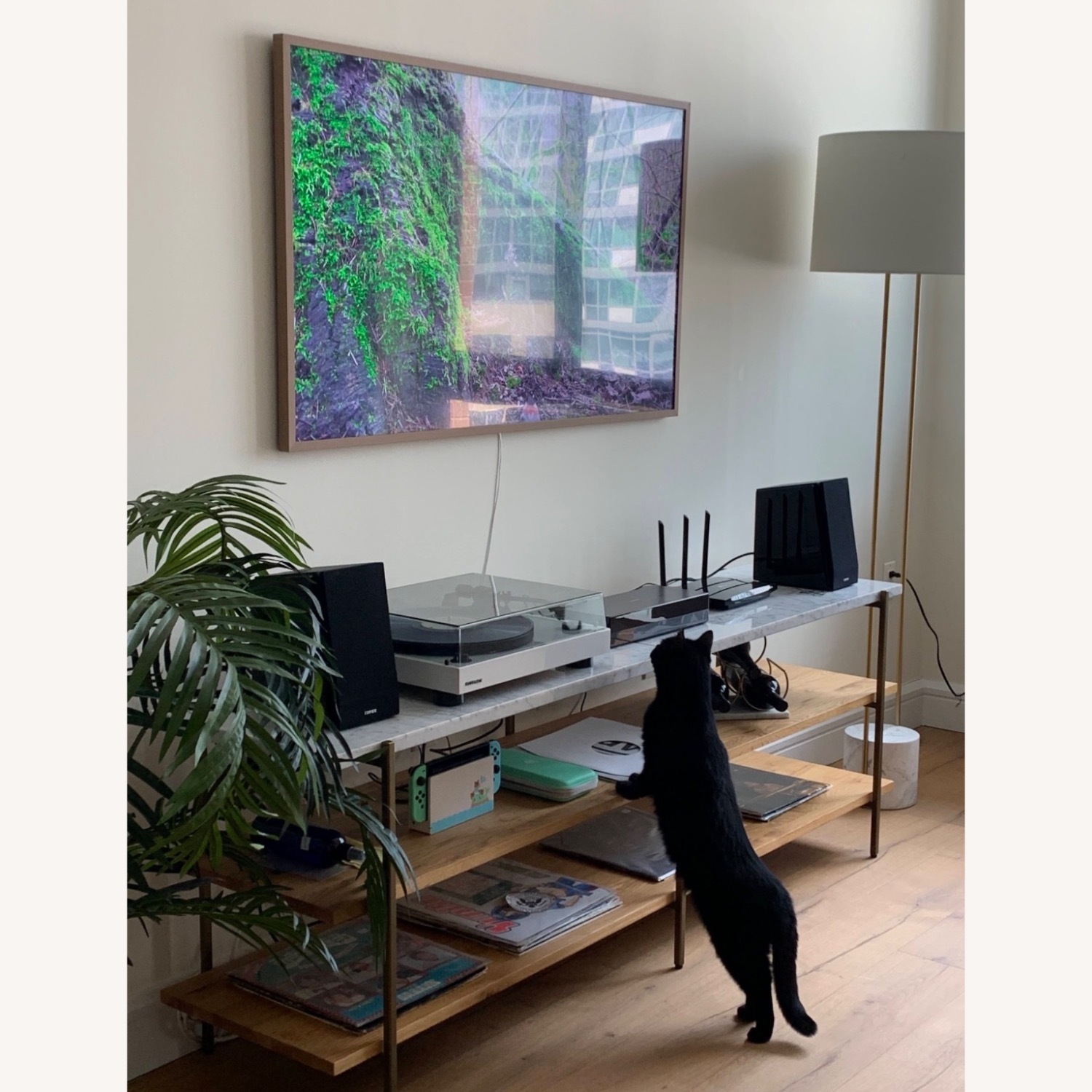 Anthropologie Maya Open Shelf Console  - image-2