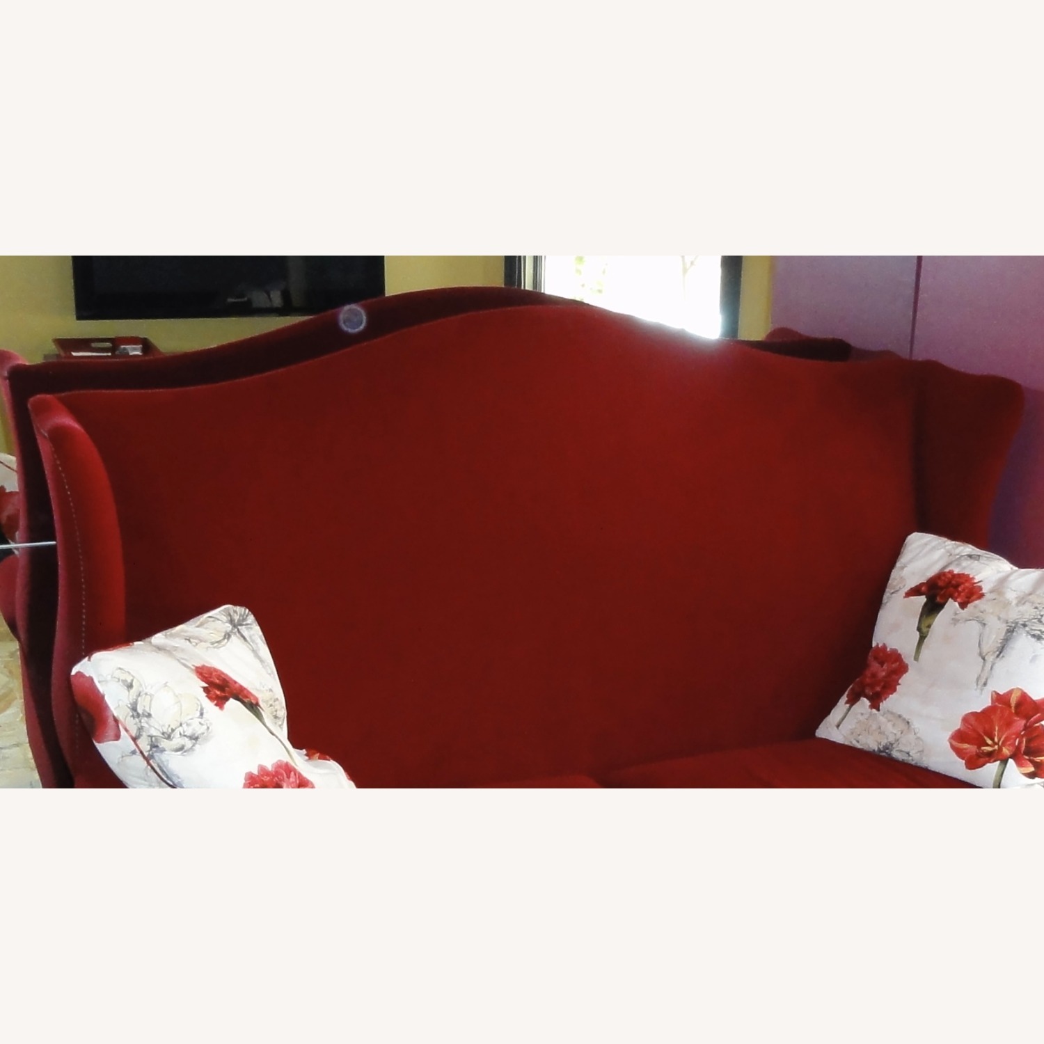 Luxury Velvet Wingback Queen Sofa/Sleeper - image-4