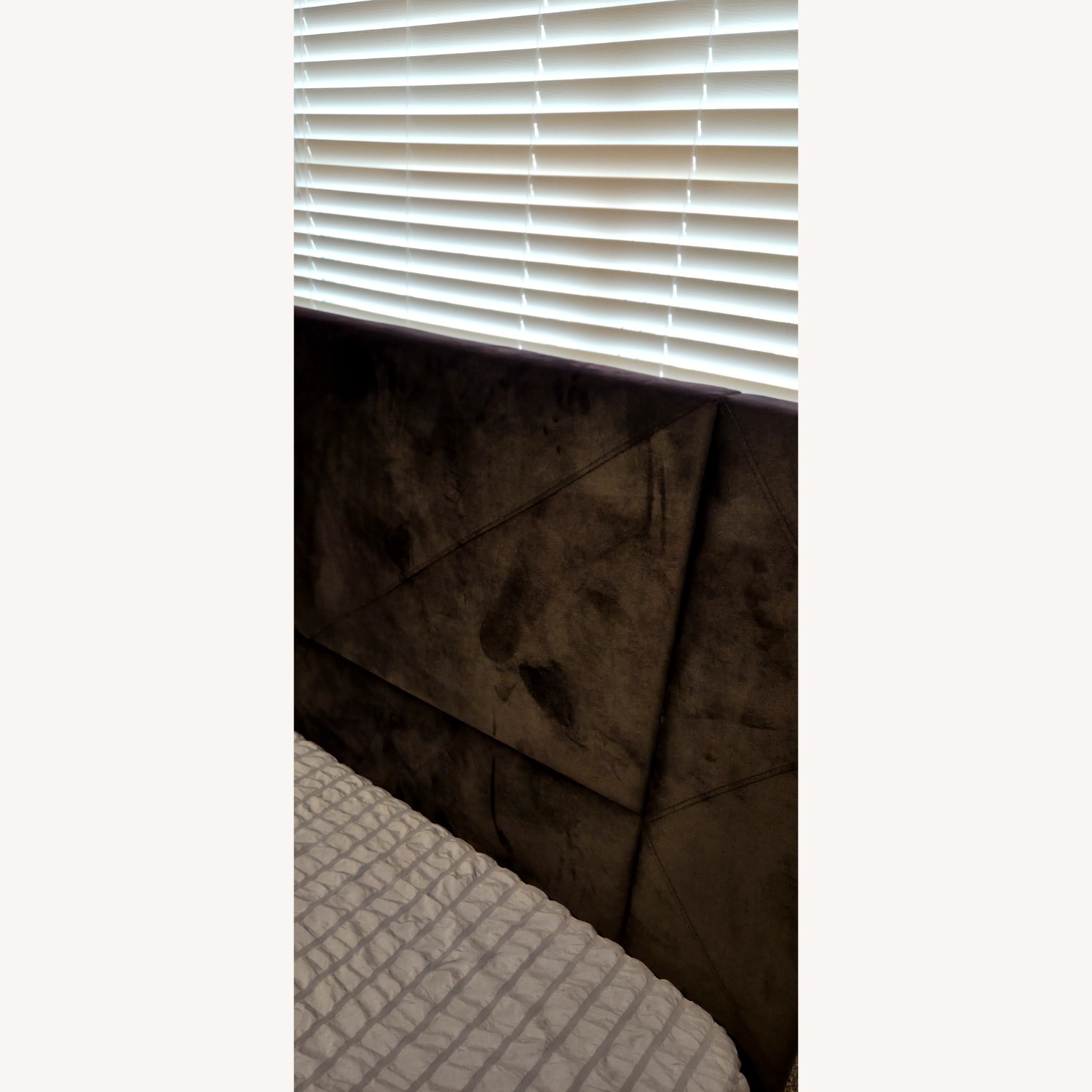 Black Fabric Queen Bed - image-1