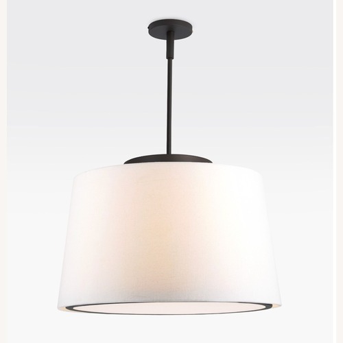 Used Rejuvenation Black Conifer 24" Pendant for sale on AptDeco