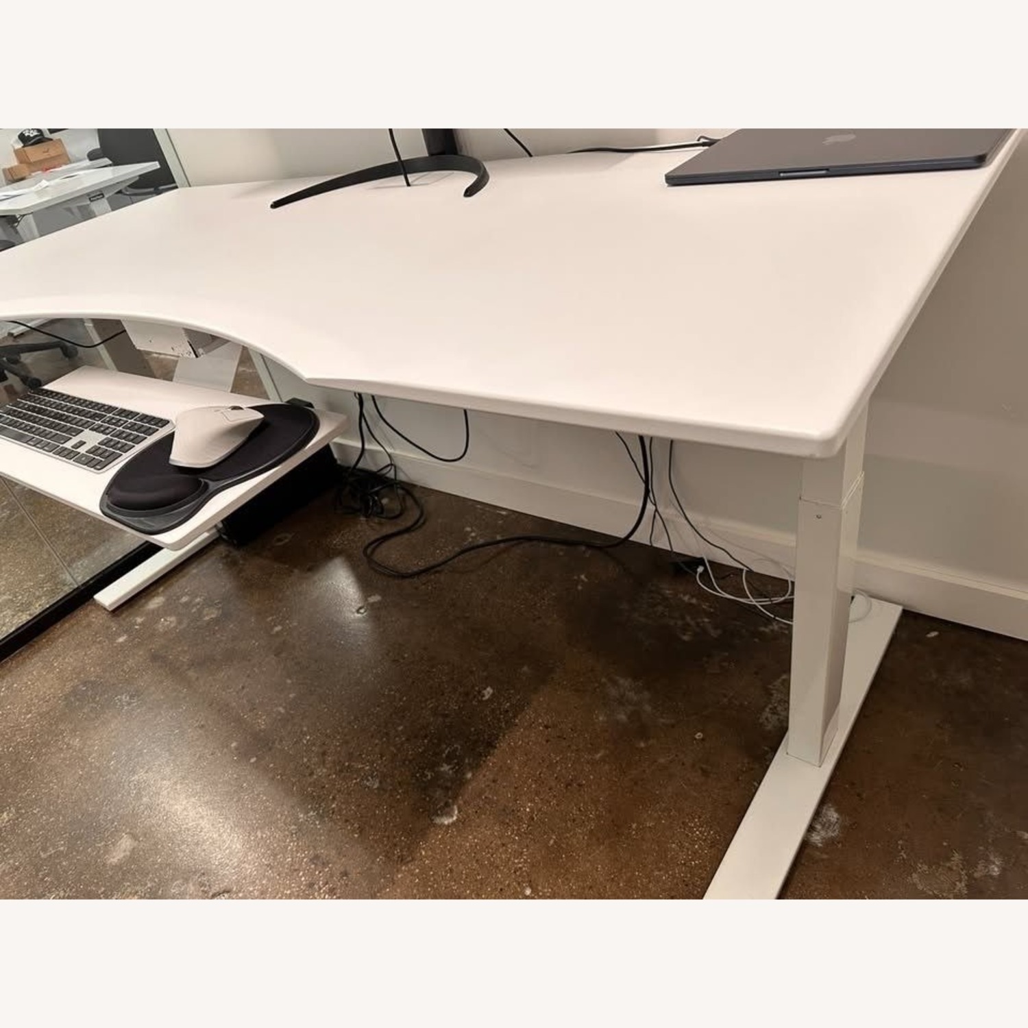 Custom Evodesk Standing Desk - image-1