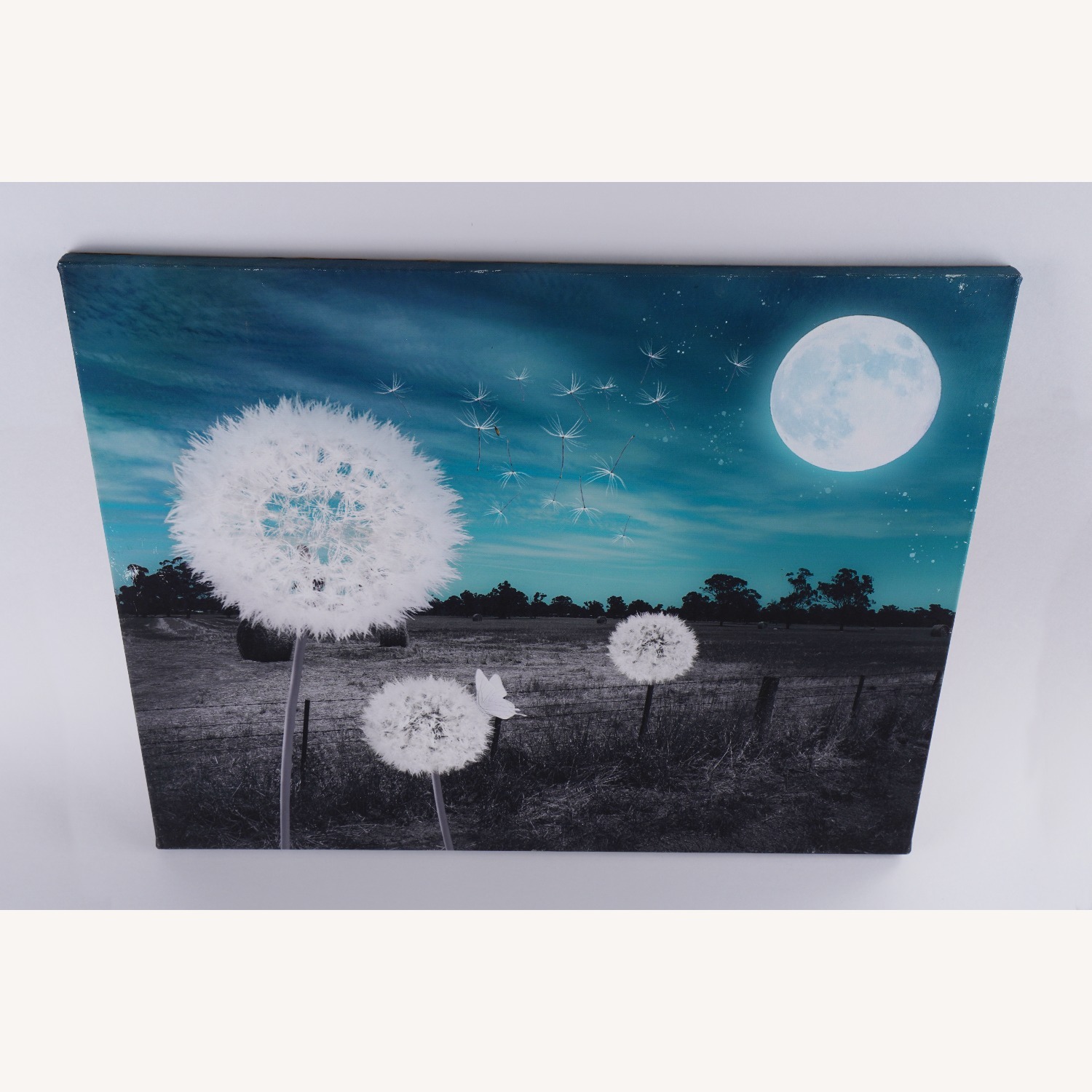 Vintage/Antique Moonlit Wishes Wall Art - image-1