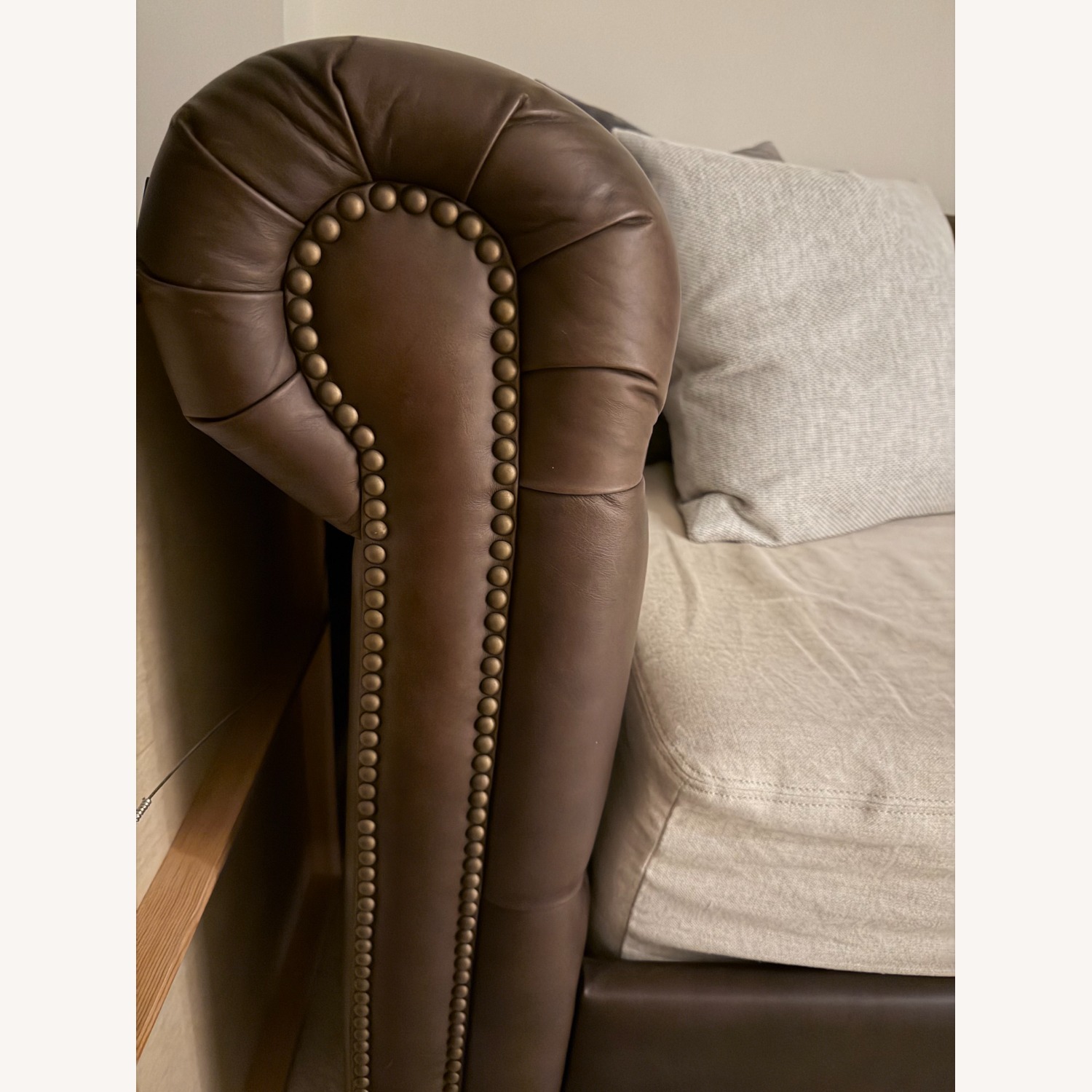 RH Daybed in Chocolate Brown Leather - image-2