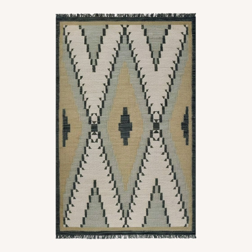 Used Pottery Barn Lael Handwoven Rug – 10’ x 14’  for sale on AptDeco