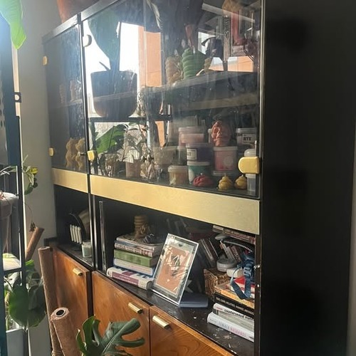 Used Midcentury Modern Wood and Glass Sideboard for sale on AptDeco