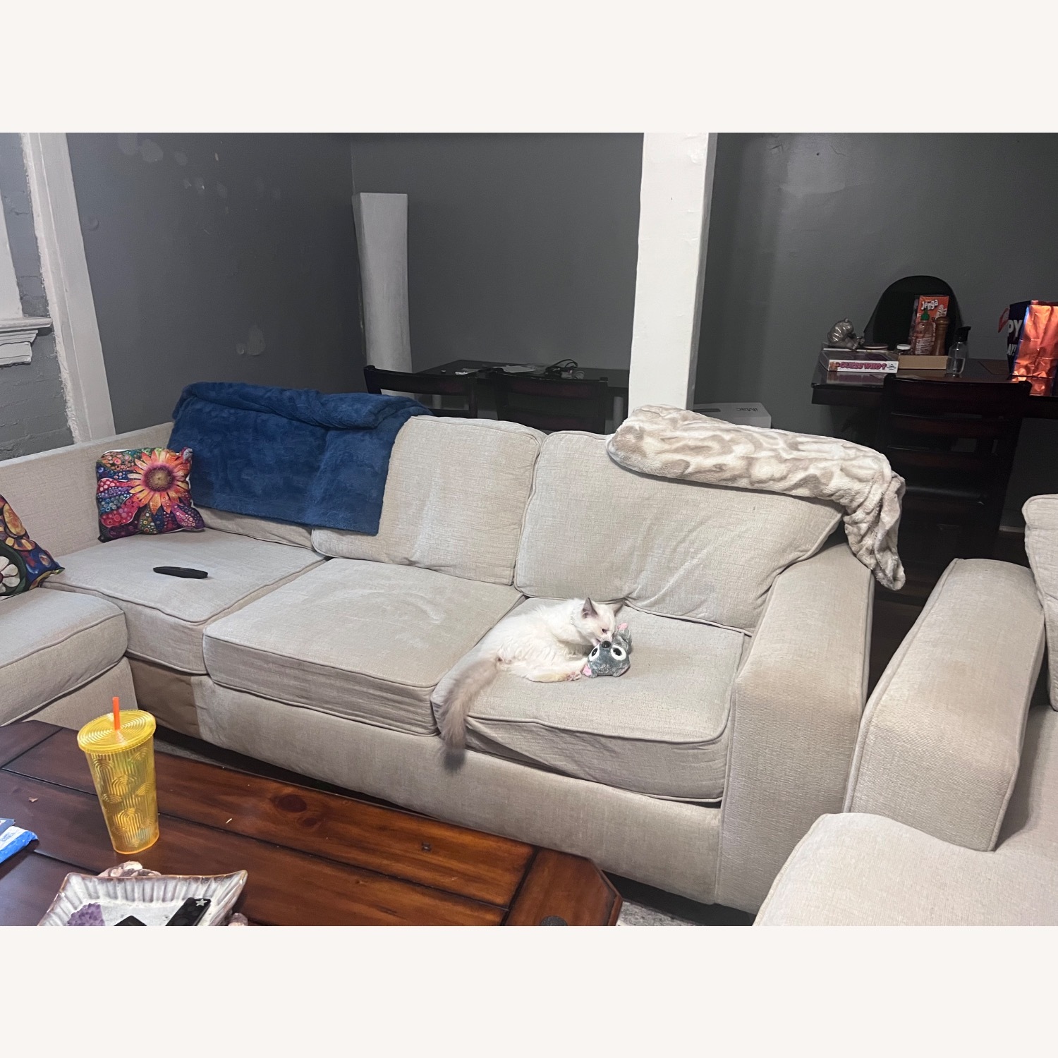 Cozy Sectional  - image-3