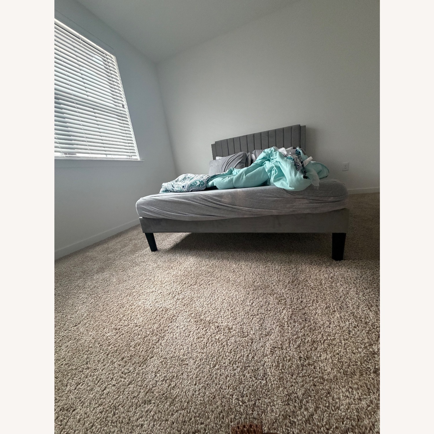 Wayfair Light Gray Suede Queen Bed - image-3