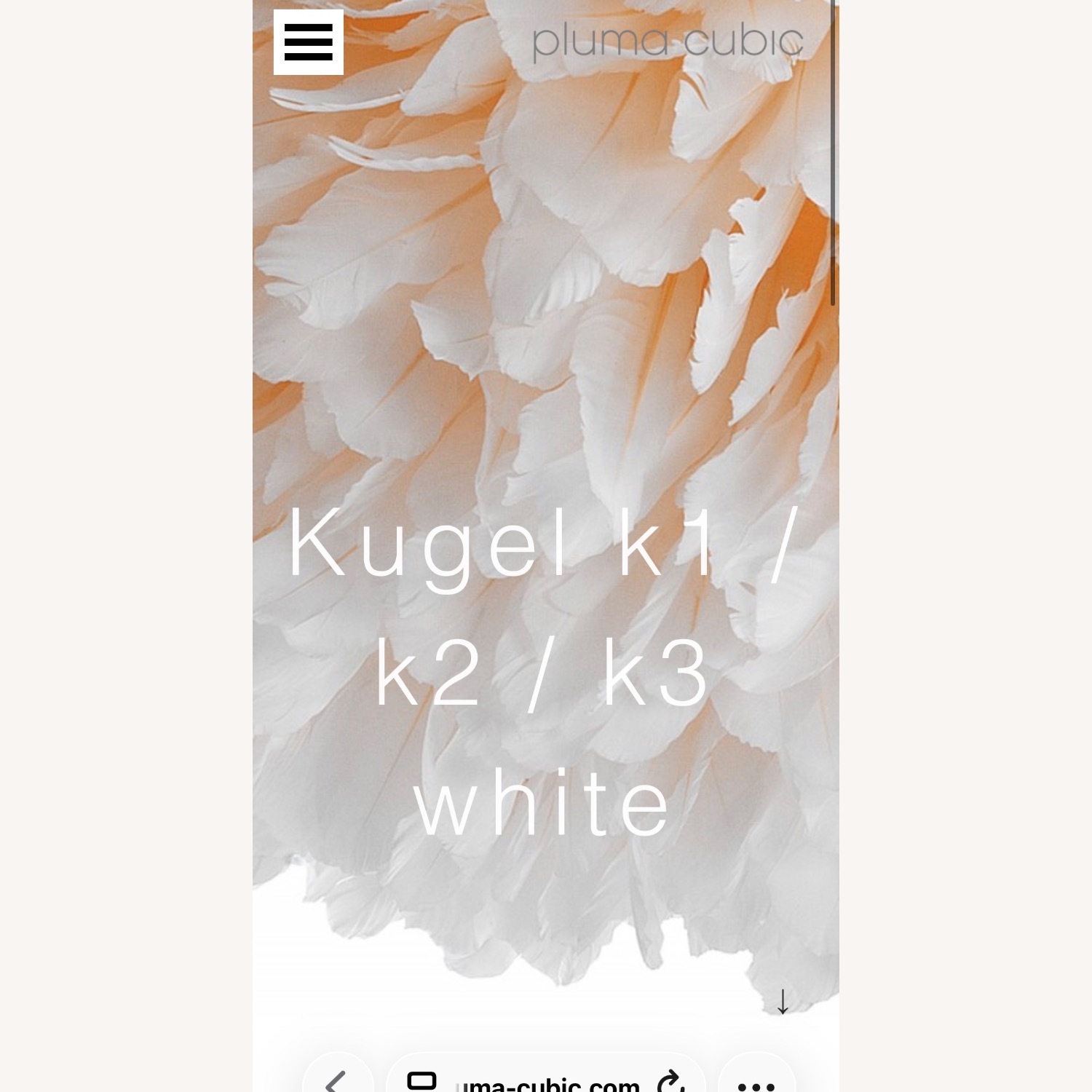 Feather light  - image-2