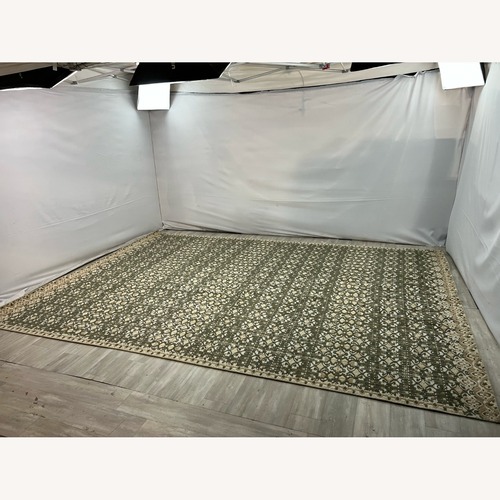 Used The Citizenry Hanita Hand-Knotted Area Rug for sale on AptDeco