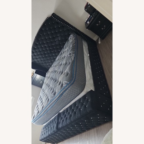 Used Black Velvet King Bed for sale on AptDeco