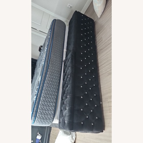 Used Black Velvet King Bed for sale on AptDeco