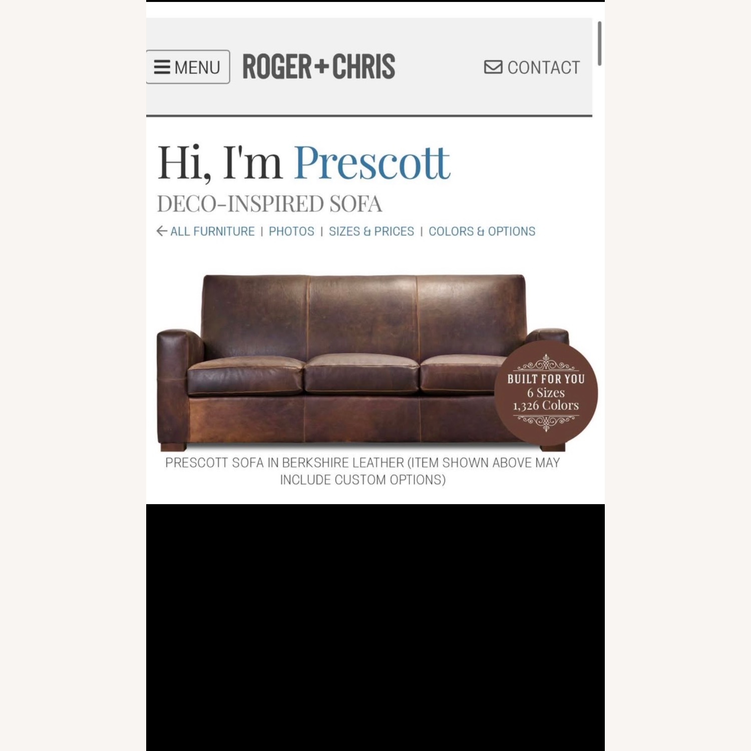 Roger + Chris Leather Couch - image-8