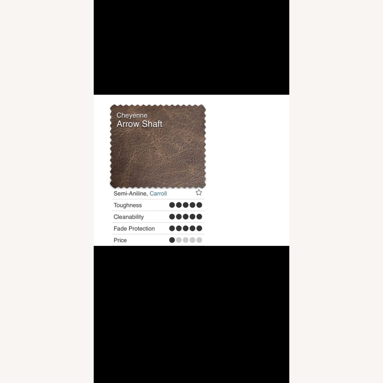 Roger + Chris Leather Couch - image-9