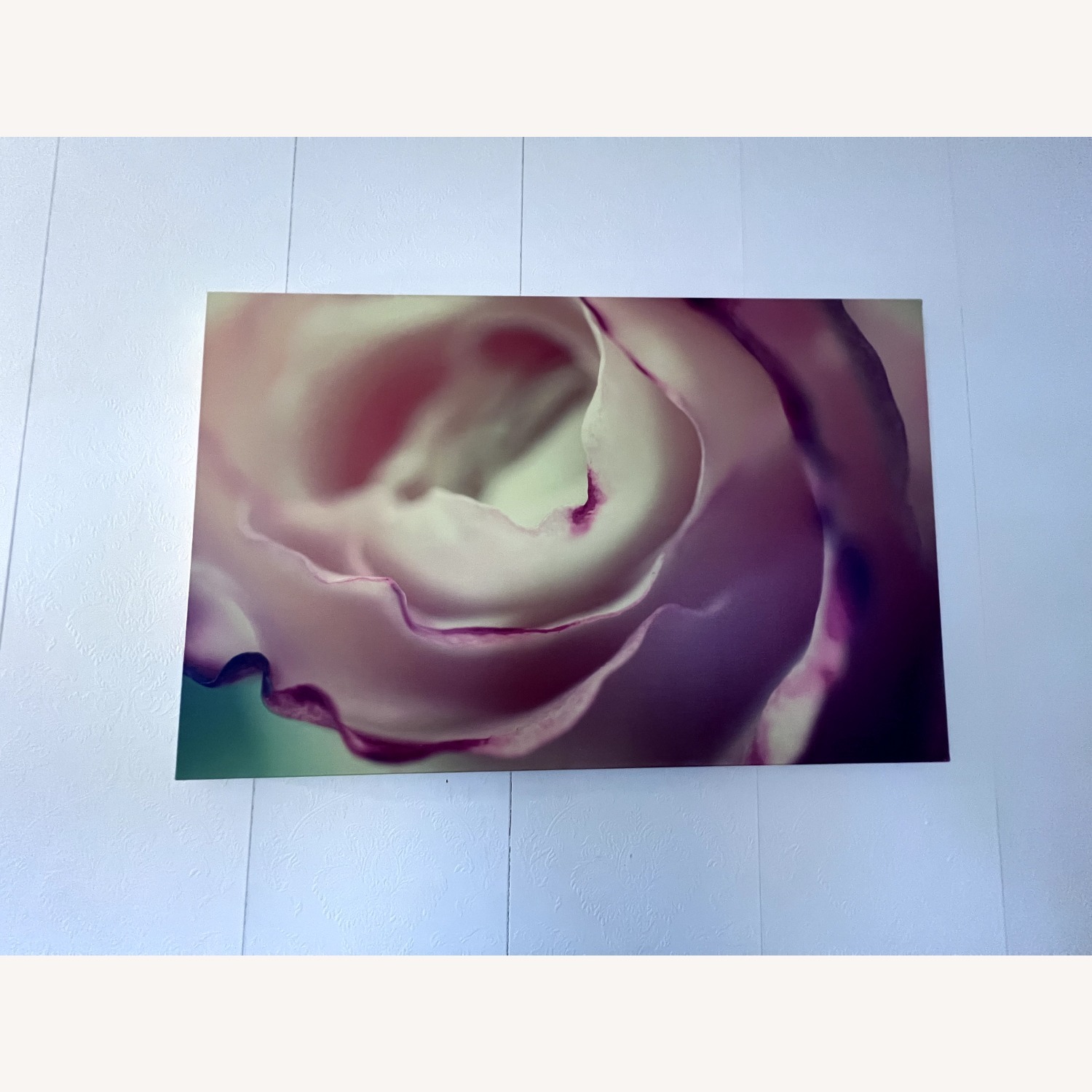 Trademark Fine Art Flavors of Summer by Beata Czyzowska-Young  - image-1