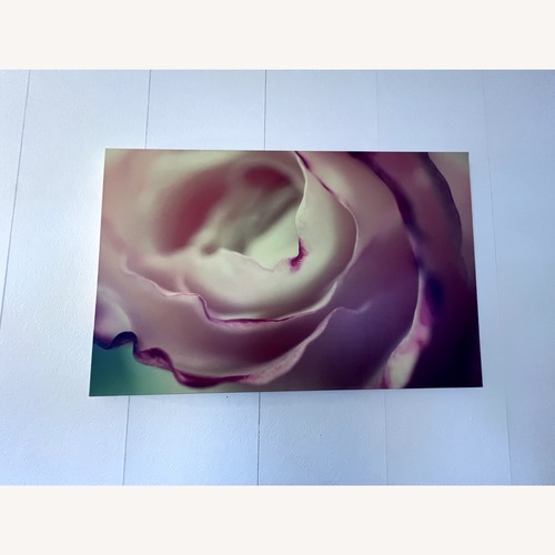 Used Trademark Fine Art Flavors of Summer by Beata Czyzowska-Young for sale on AptDeco