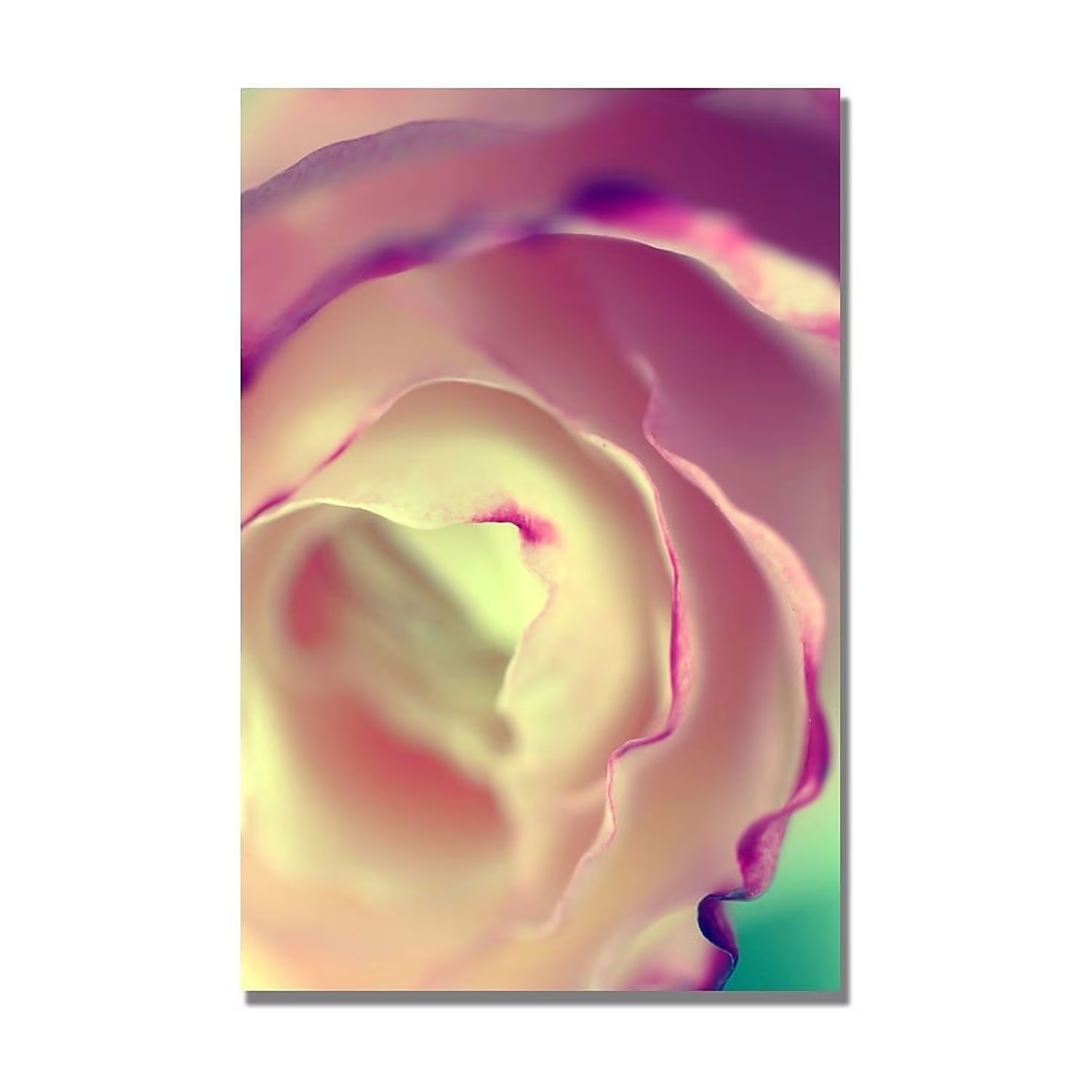 Trademark Fine Art Flavors of Summer by Beata Czyzowska-Young  - image-4