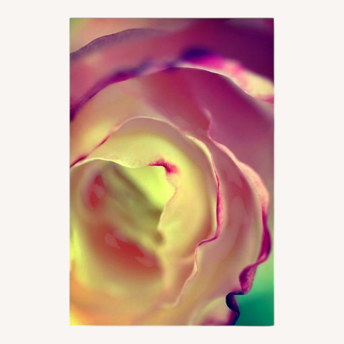 Used Trademark Fine Art Flavors of Summer by Beata Czyzowska-Young for sale on AptDeco