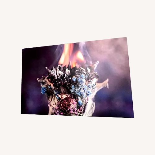 Used Sage Bundle Canvas Wall Art  for sale on AptDeco