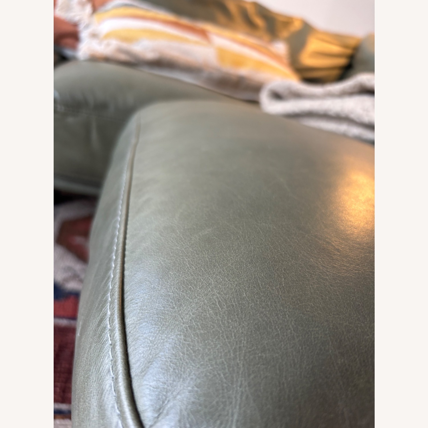 Crate & Barrel Wells Green Leather 3+ Seater Sofa - image-9