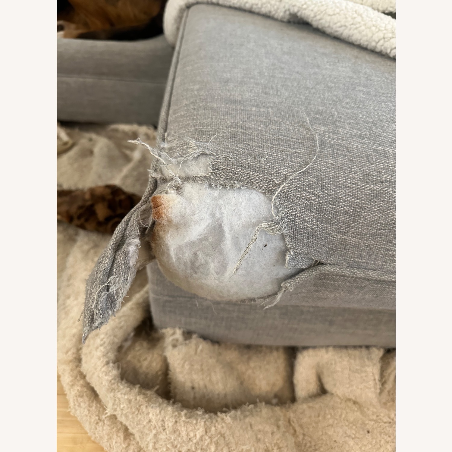 Living Spaces Light Gray 3+ Seater Sofa - image-4