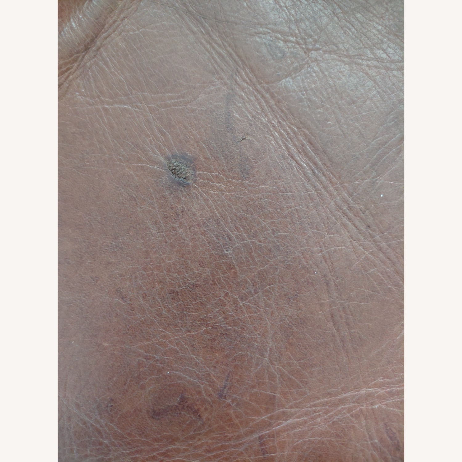 2 Seater Leather Sofa - image-3