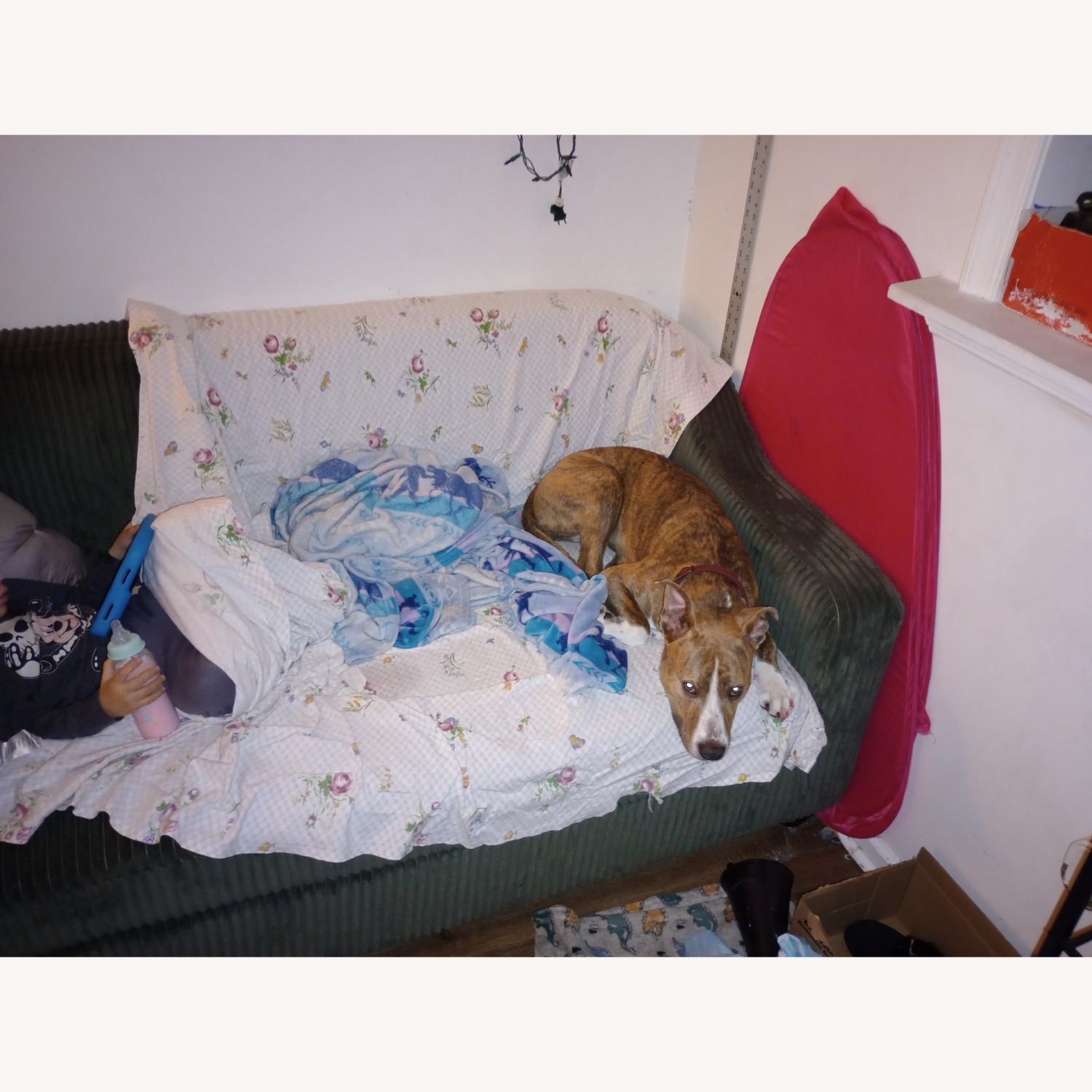 Green Comfy 3 Person Couch - image-3