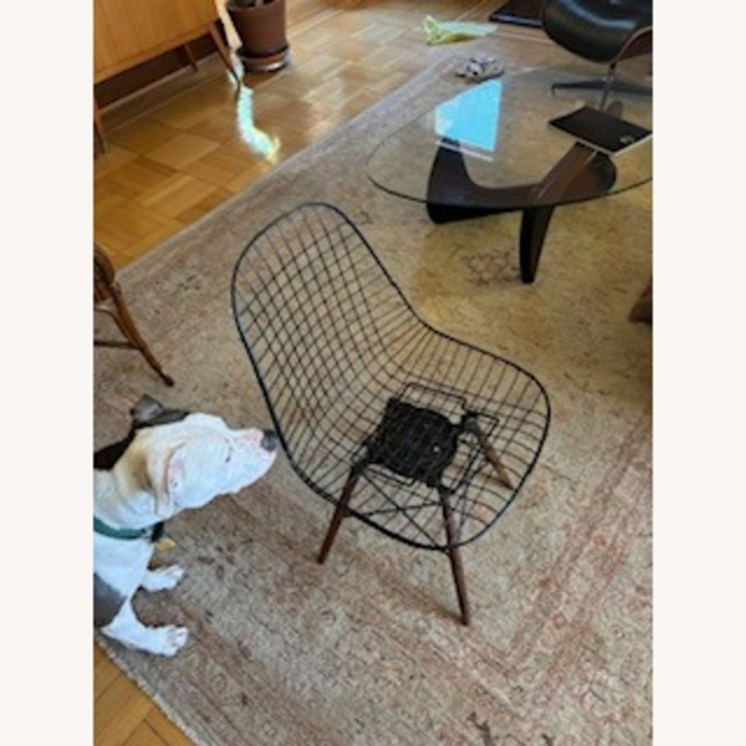 Herman Miller Black Metal Accent Chair - image-3