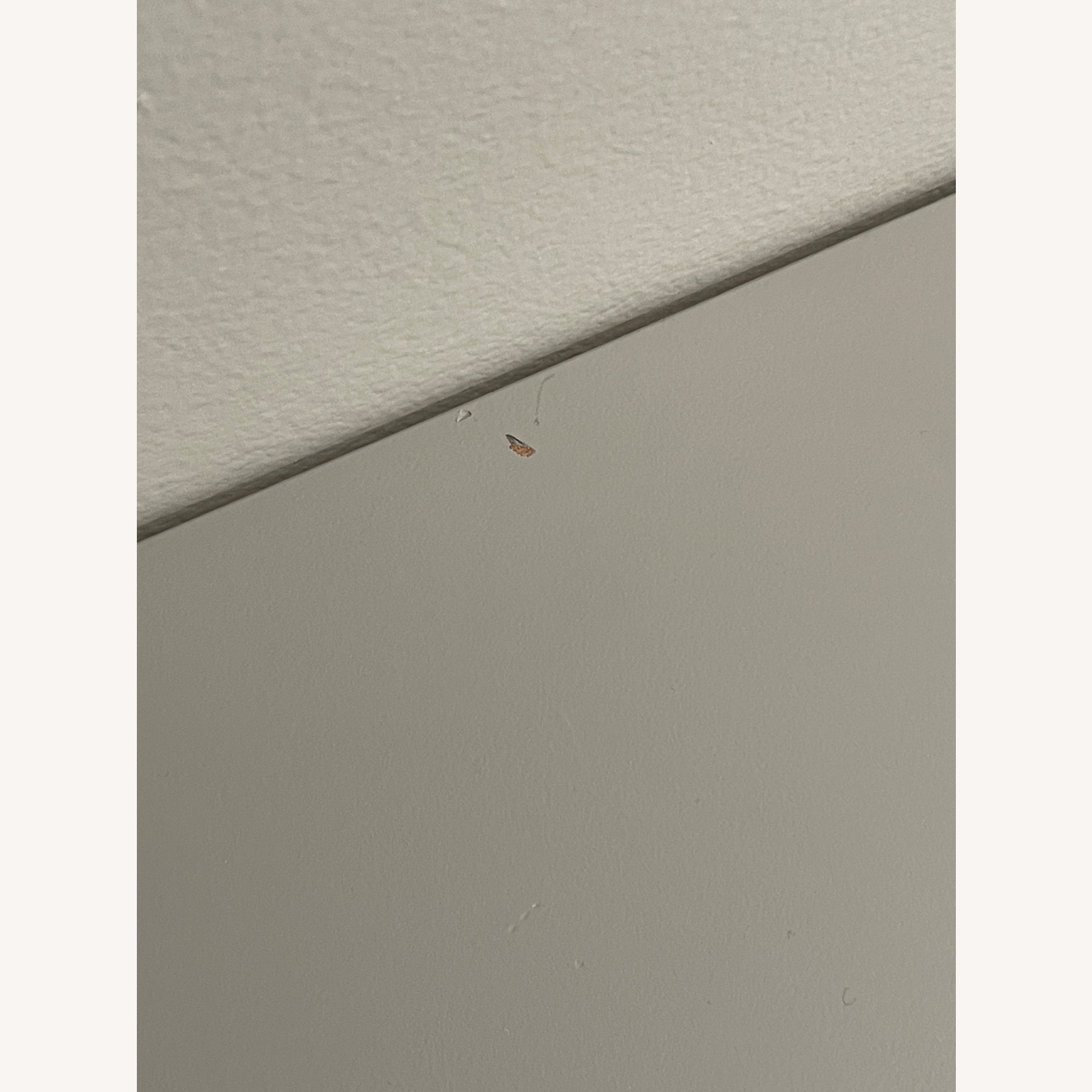 Ethan Allen Light Gray Wood Dresser - image-5