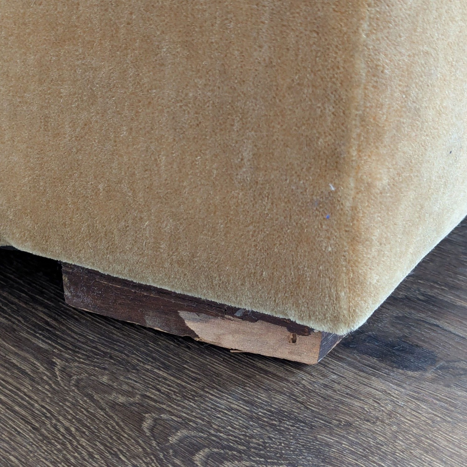 Cozy Mustard Brown Velvet Lounge Armchair - image-8