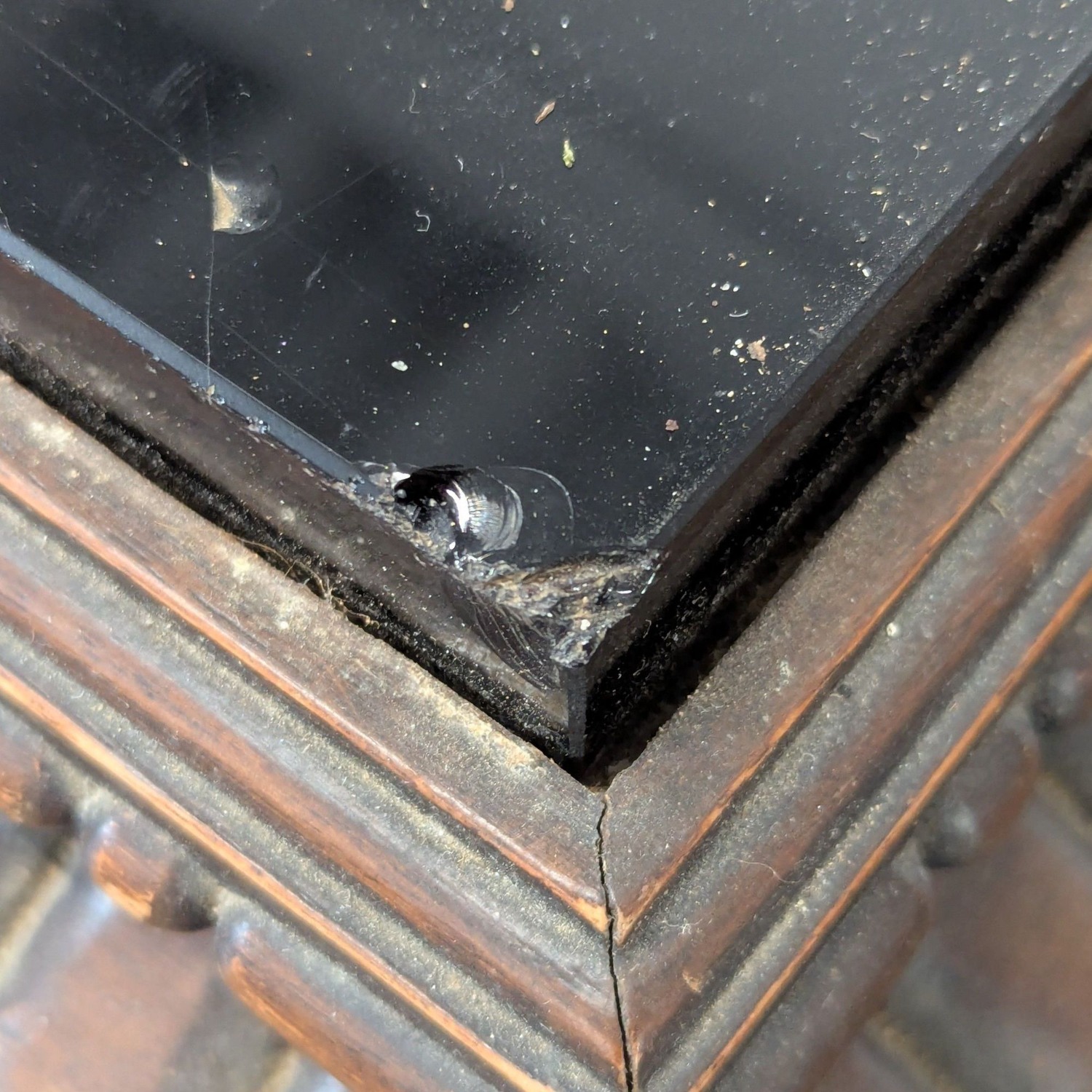 Vintage Glass Top Carved Coffee Table	 - image-7